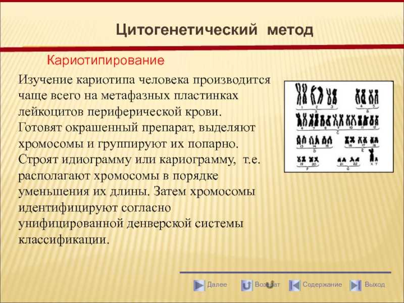 Цитогенетическое исследование, кариотипирование в центре репродукции и генетики