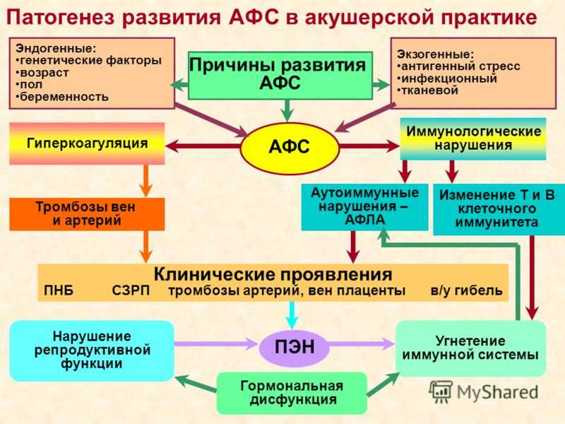 Афс это. Антифосфолипидный синдром иммунология. Антифосфолипидный синдром механизм развития. Антифосфолипидный синдром этиология. Антифосфолипидный синдром патофизиология.