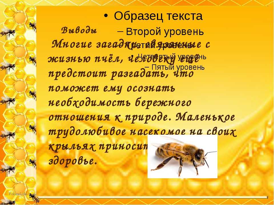 Текст и выполни задания пчелы. Загадка про пчелу. Стих про пчелу. Загадки на тему пчелы. Пчела стихи загадки.