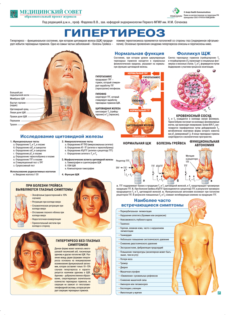 Болезни щитовидной железы у женщин фото