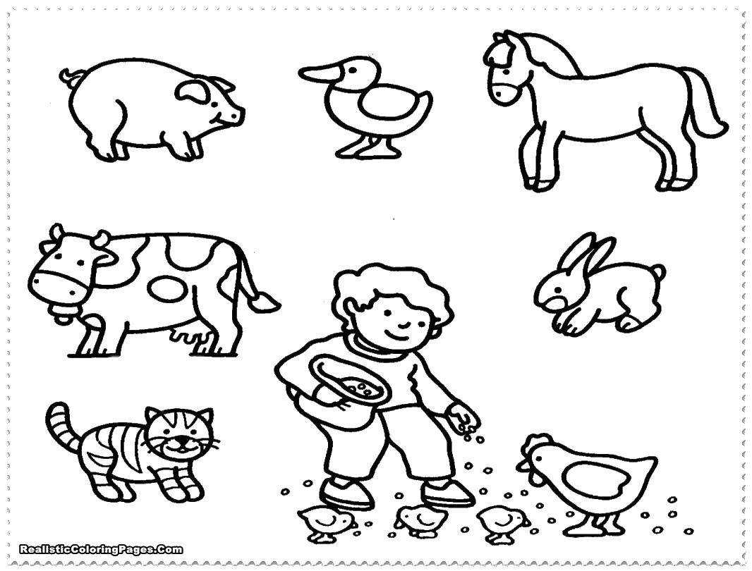 Картинки для детей - тема Животные Картинки домашних и диких животных