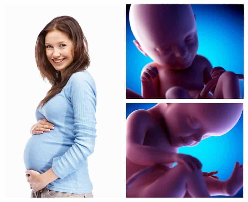 20 неделя беременности - развитие и фото плода