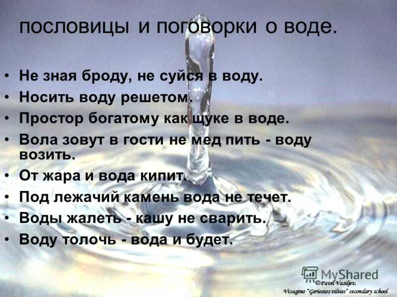 Картотека экологических пословиц и поговорок | картотека: