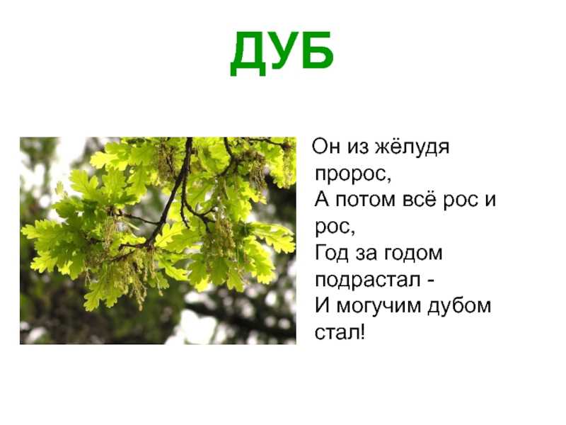 Загадки придумать самим 2 класс, 3 класс, 5 класс. придумать самому загадки про воздух, про осень, про лес, про дождь, про воду, про времена года. придумываем загадки. в статье раскрыт алгоритм самостоятельного составления загадок.