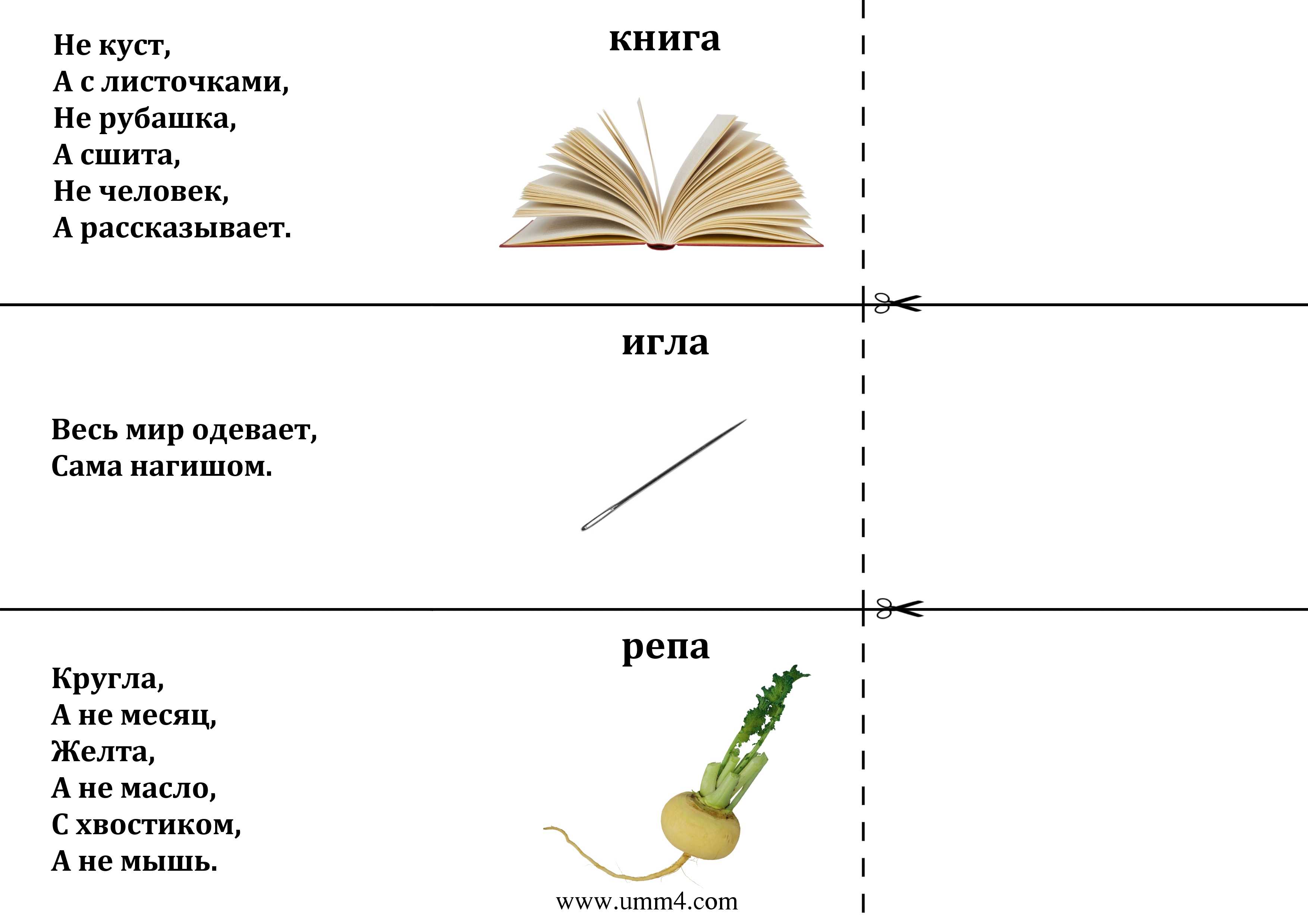 Загадки для детей 5 с картинками