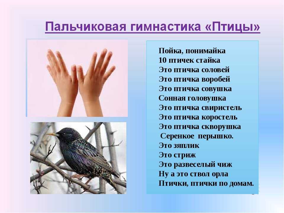 Птички пальчики
