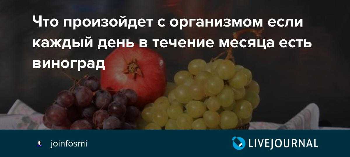 Можно ли есть виноград. Что будет если каждый день есть виноград. Можно ли есть виноград каждый день. Можно есть виноград при похудении.