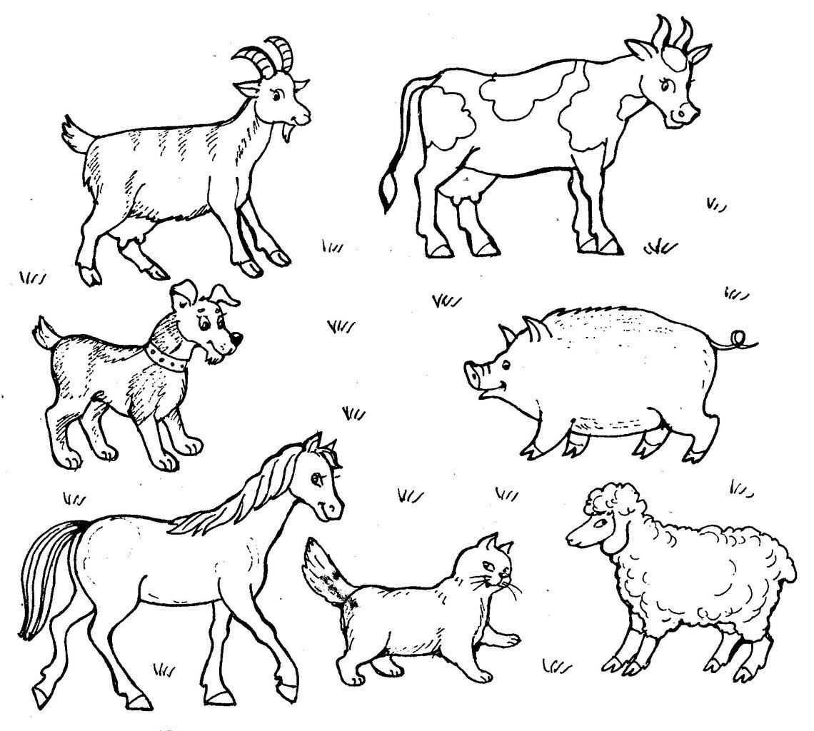 Следы животных: картинки с подписями для детей: зайца, медведя и другие рисунки