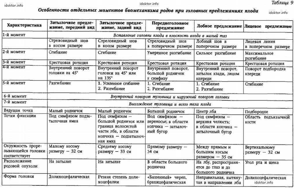 Продольное положение плода