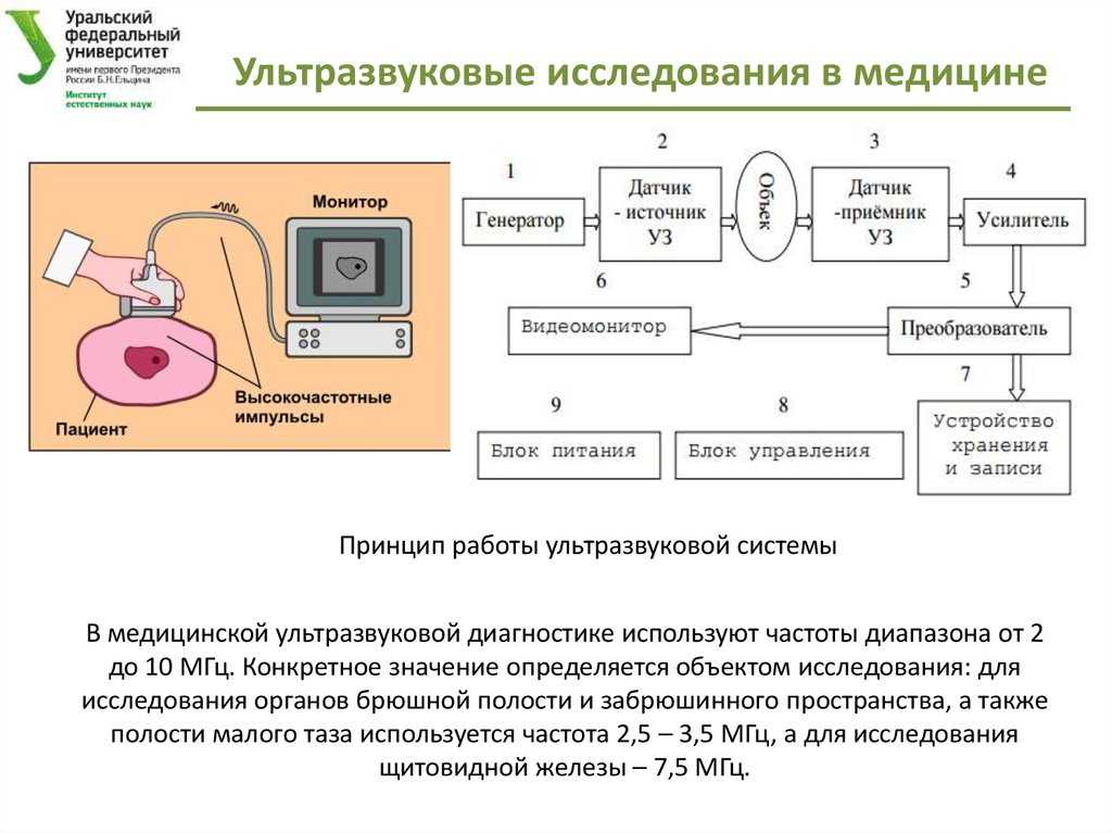 Структурная схема узи аппарата