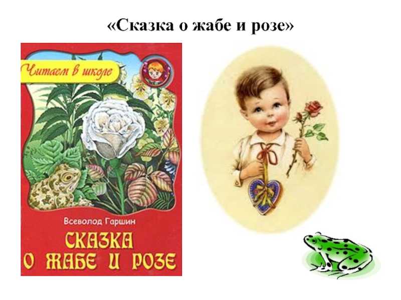 Сказка жаба читать. Гаршин сказка о жабе и Розе. Автор сказки о жабе и Розе.