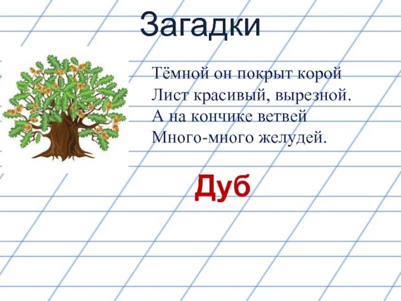 100 самых интересных загадок с ответами » notagram.ru