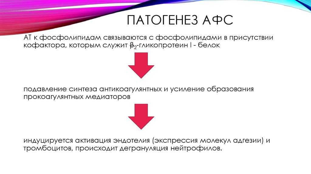 Афс это. Антифосфолипидный синдром патогенез. Антифосфолипидный синдром этиология. Антифосфолипидный синдром механизм развития. Этиология антифосфолипидного синдрома.