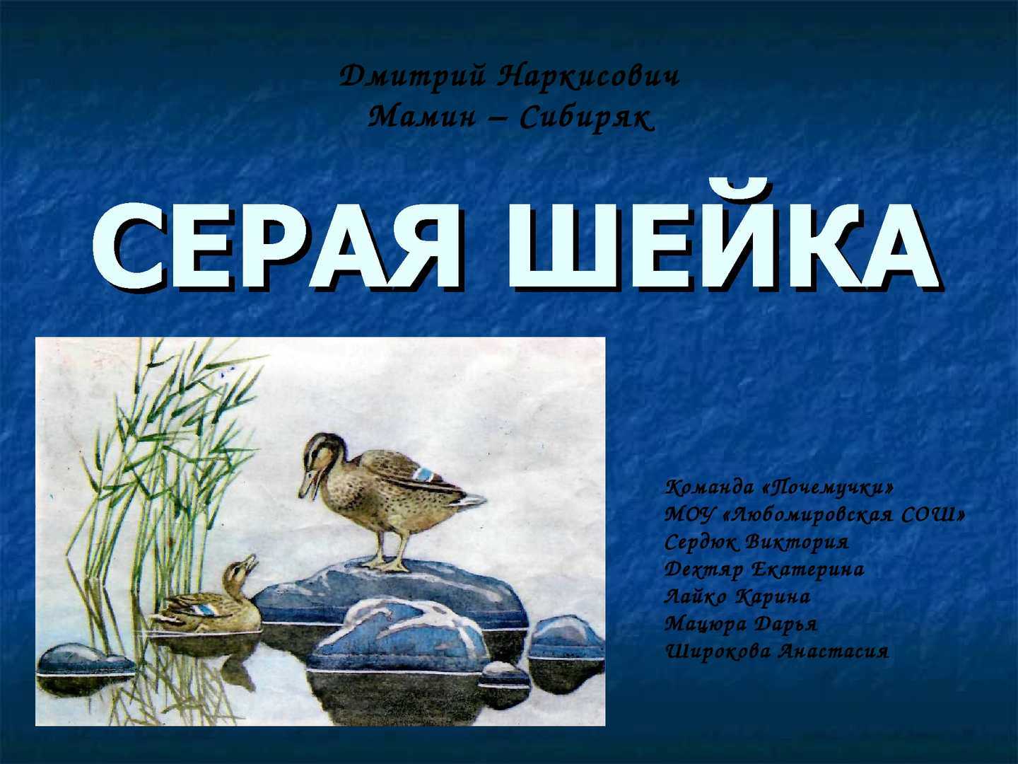 Мамин сибиряк серая шейка главные герои. Мамин Сибиряк серая шейка. Д Н мамин Сибиряк серая шейка. План серая шейка мамин Сибиряк. Мамин Сибиряк серая шейка кроссворд.