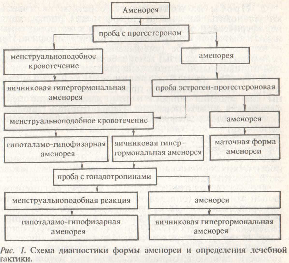 Аменорея цветок фото