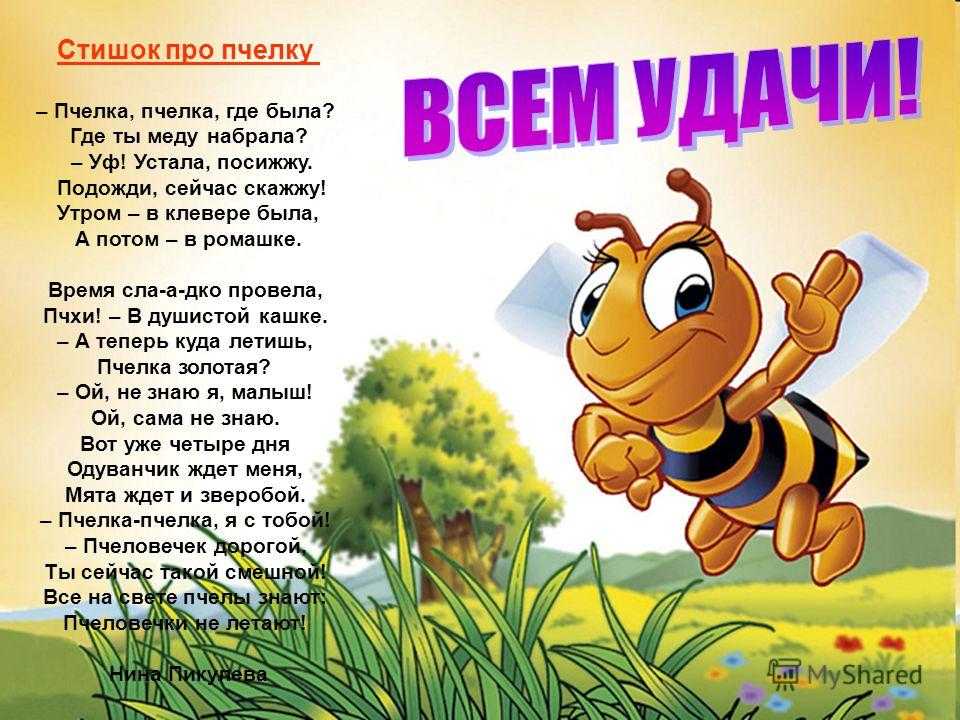 Лучшие загадки для детей 5-6 лет с ответами (можно распечатать!)