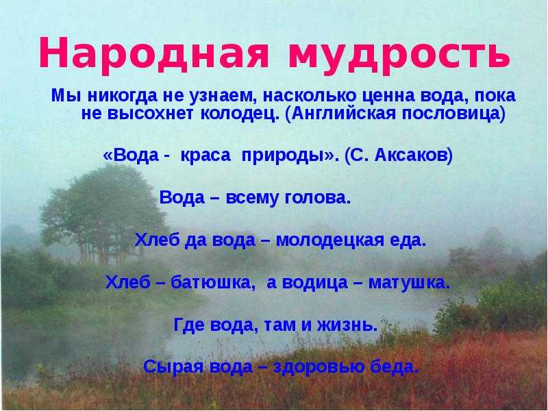 Пословицы о природе. Пословицы о воде. Вода источник жизни пословицы. Поговорки о природе.