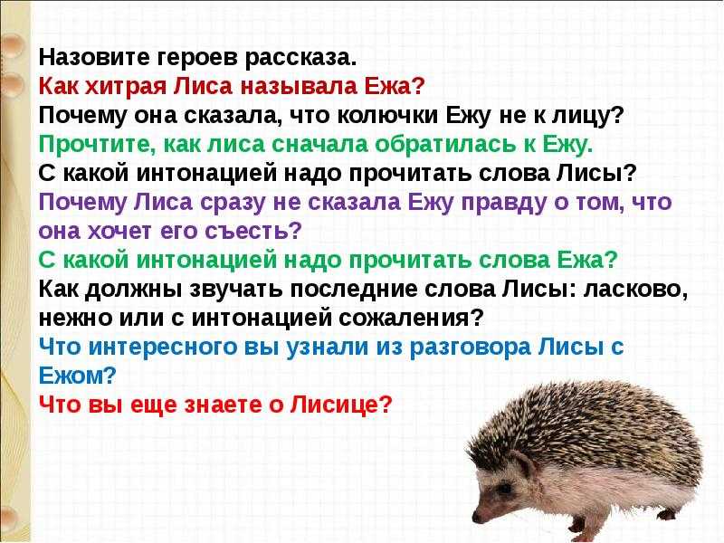 Загадки про лису с ответами – 50 самых лучших загадок – ladyvi.ru