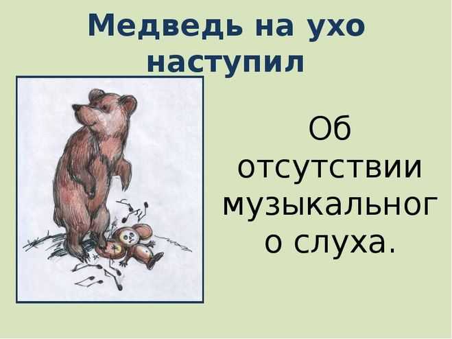 Пословицы и поговорки про медведя » текст, видео, картинки