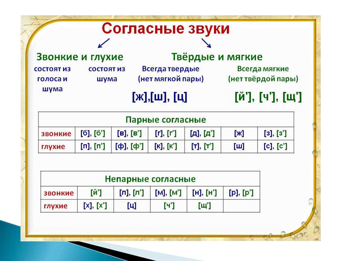 Гласные и согласные звуки фото