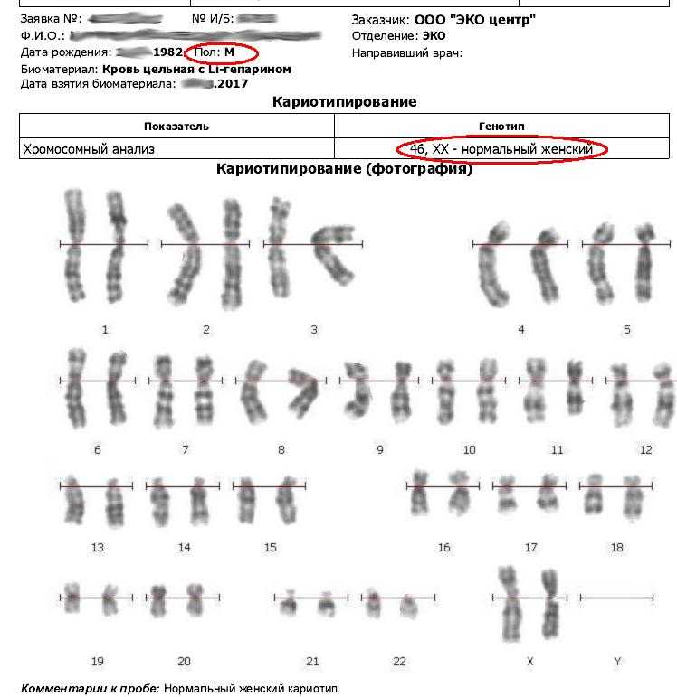 Кариотипирование супругов цена