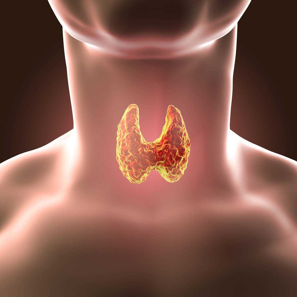 Болезни щитовидной железы: разновидности