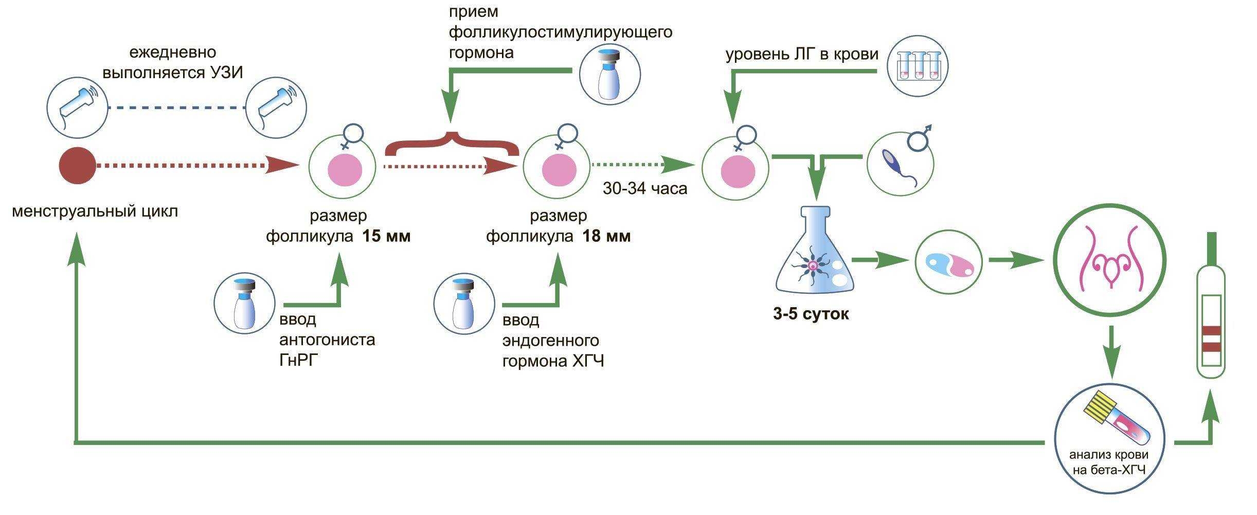 Эко по транспортной схеме