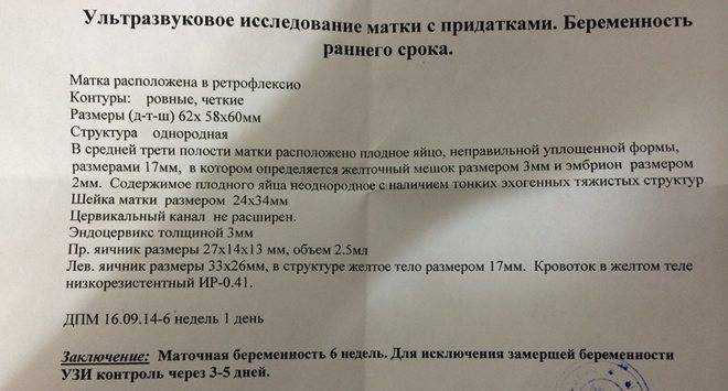 Расшифровка узи малого таза у женщин | клиника goldenmed