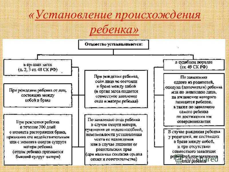 Усыновление эмбрионов. усыновление и донорство эмбрионов
