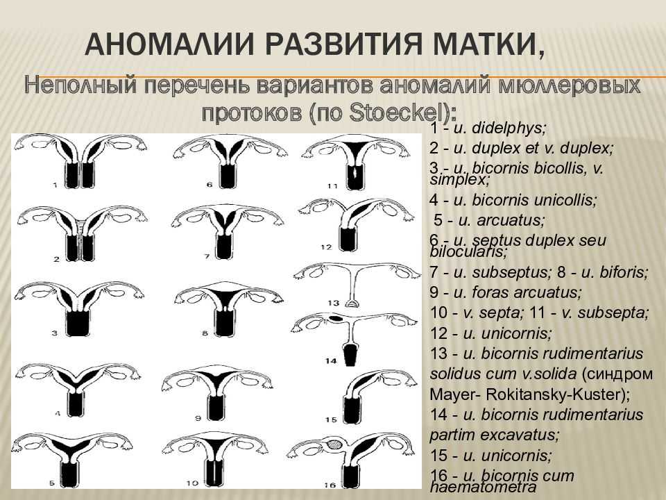 Истмико-цервикальная недостаточность - что это такое | центр медицины плода на чистых прудах