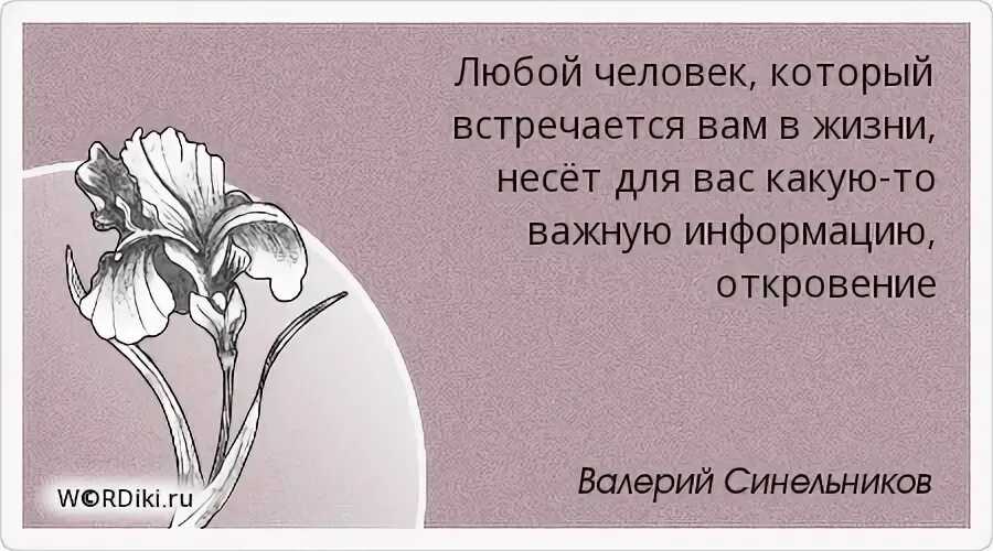 Лягушка - особенности физиологии, питания, размножения, обитания