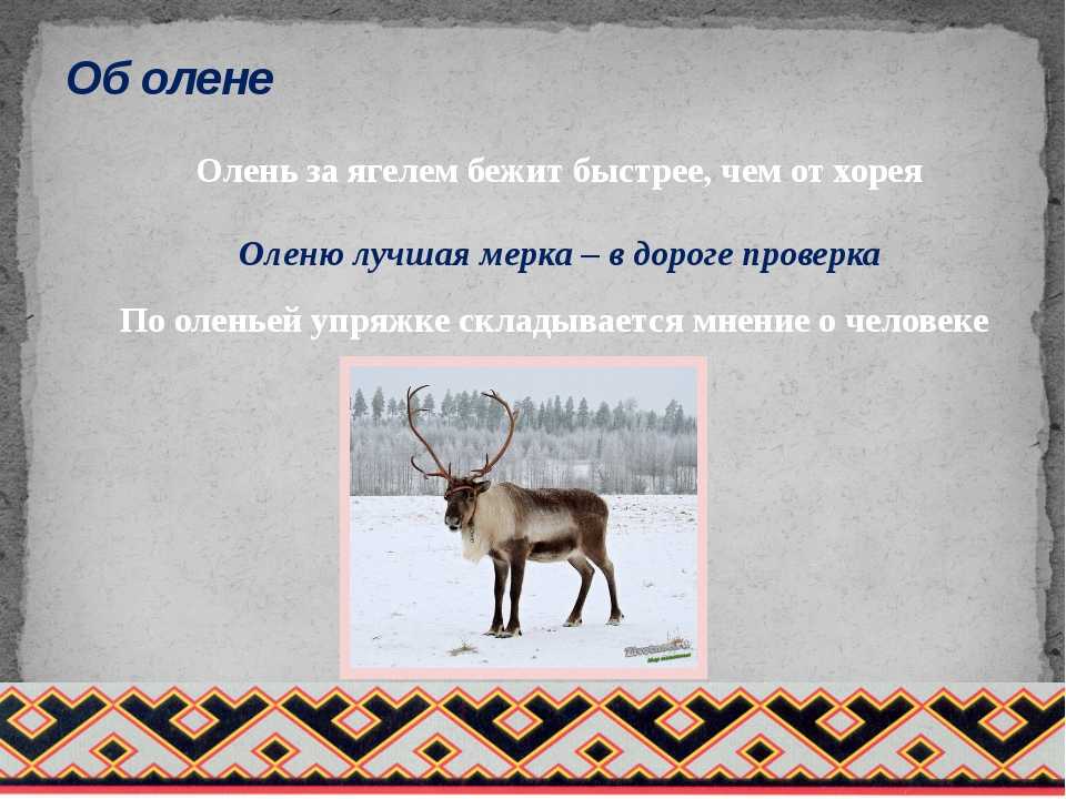 Пословицы, наставления и поговорки народов севера — норильская библиотечная система