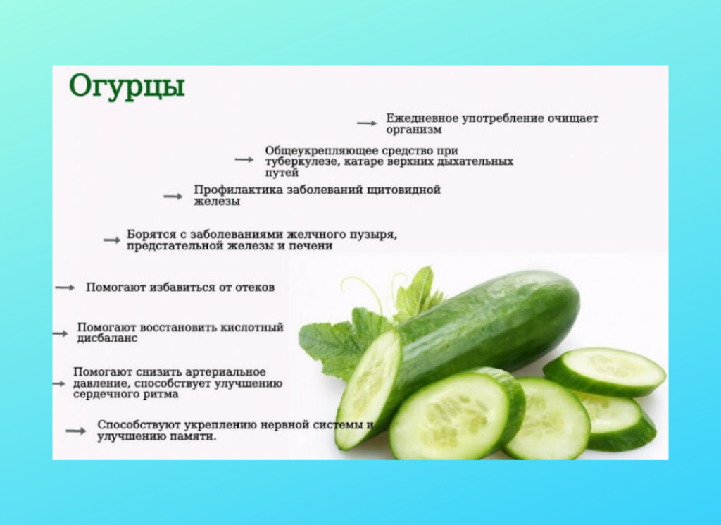 Польза огурцов для организма человека, вред, как влияют