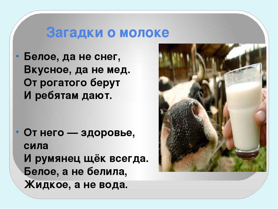 Загадки про домашних и диких животных для детей с ответами