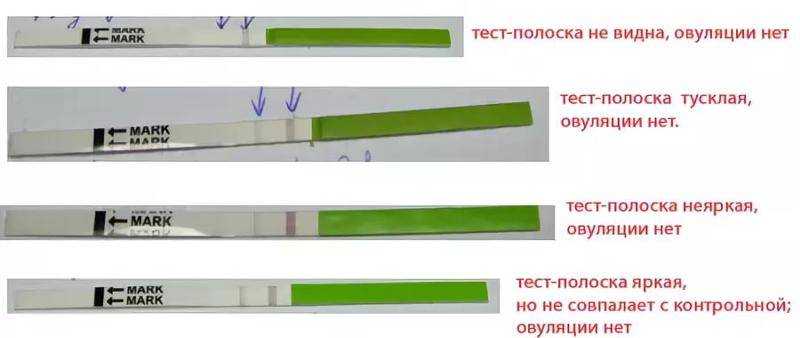 Как сделать тест на картинке