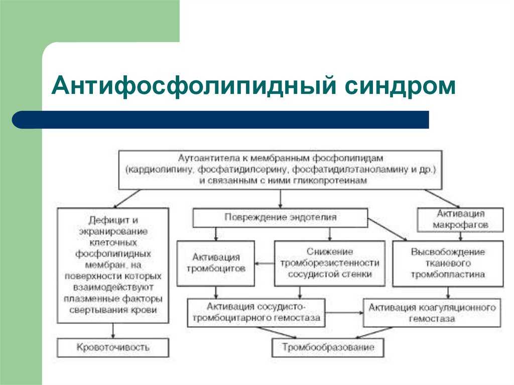 Афс это. Антифосфолипидный синдром диагностика и клинические проявления. Патогенез антифосфолипидного синдрома схема. Патогенез антифосфолипидного синдрома. Антифосфолипидный синдром механизм развития.