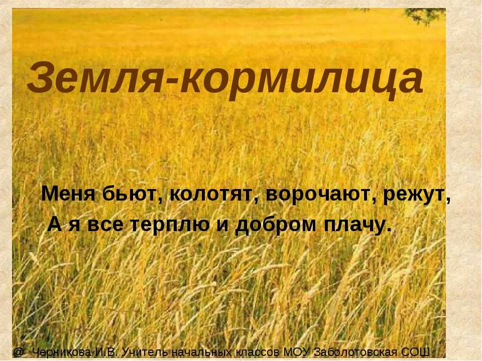 Картотека пословиц, поговорок и народных примет по экологическому воспитанию детей дошкольного возраста. | картотека по развитию речи на тему: