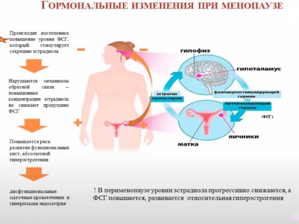 Нарушения менструального цикла, причины появления, методы лечения