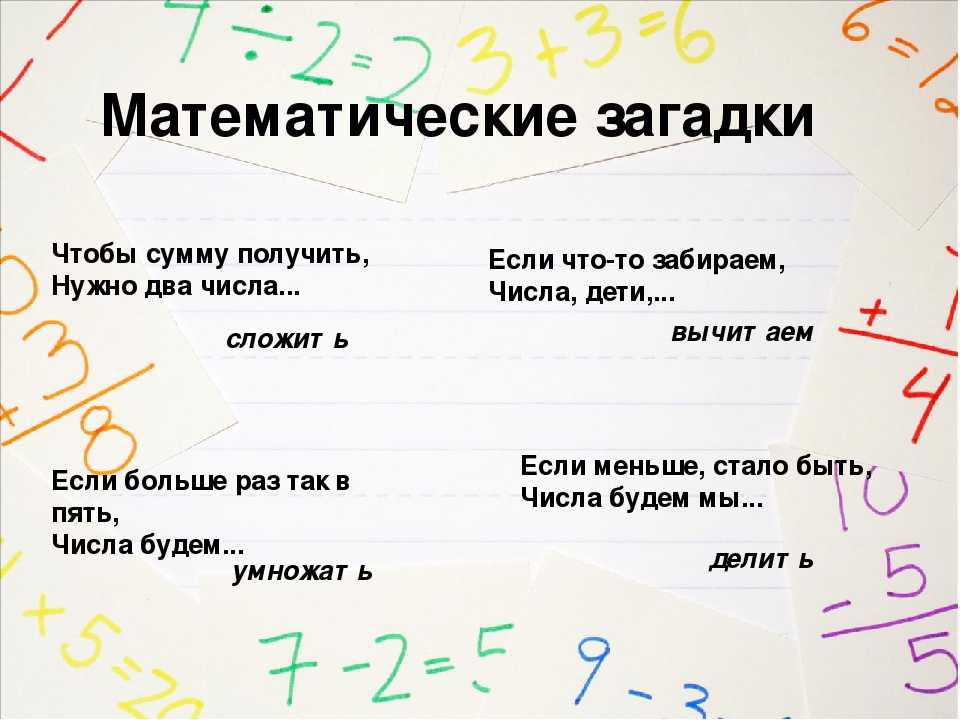 Загадки про животных для детей