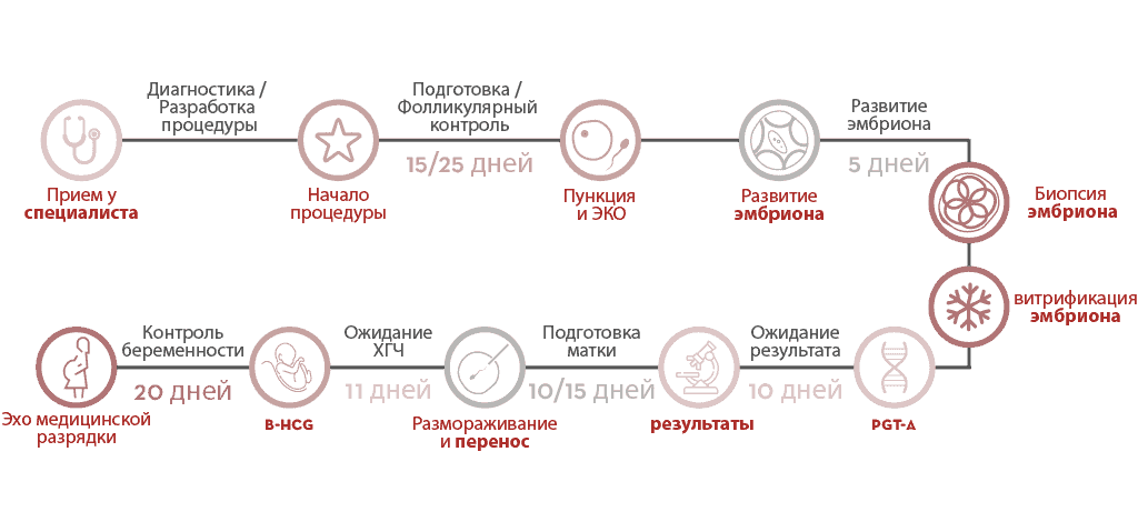 Тестирование эмбрионов. Қшьшсрлф ПГД. ПГД методы бывают какие.