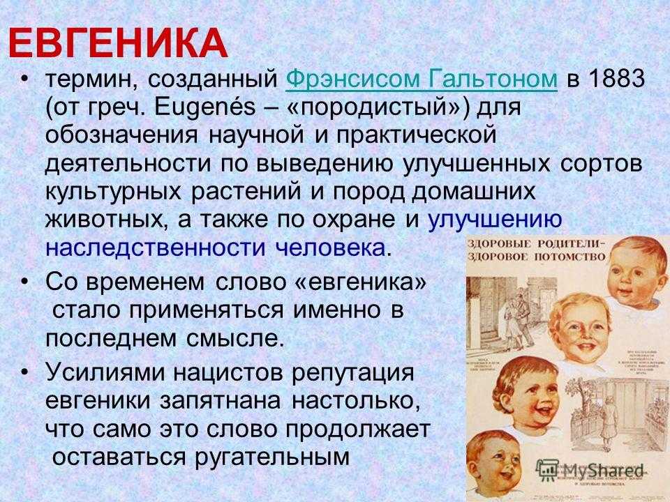 Евгеника за и против презентация