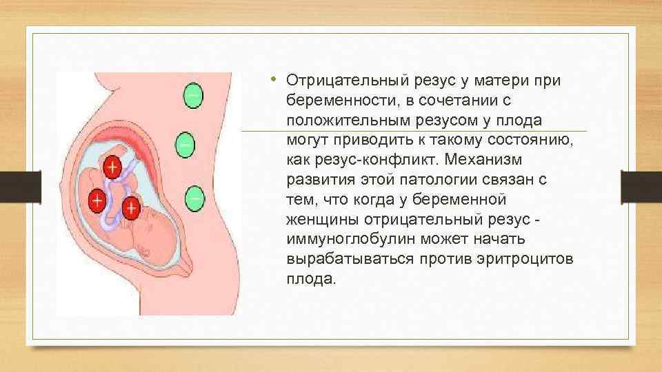 Как влияют резусы на беременность