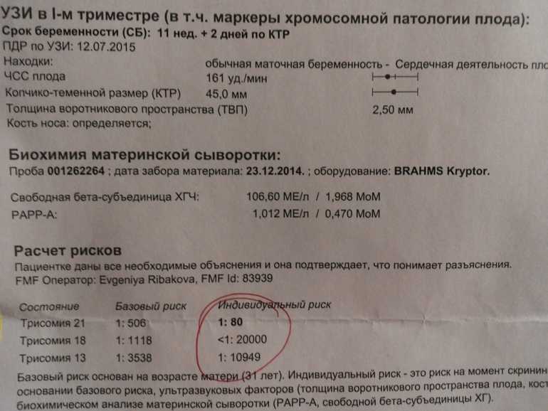 Скрининг 1 триместра: что это такое, зачем, когда и как делают первый скрининг беременности