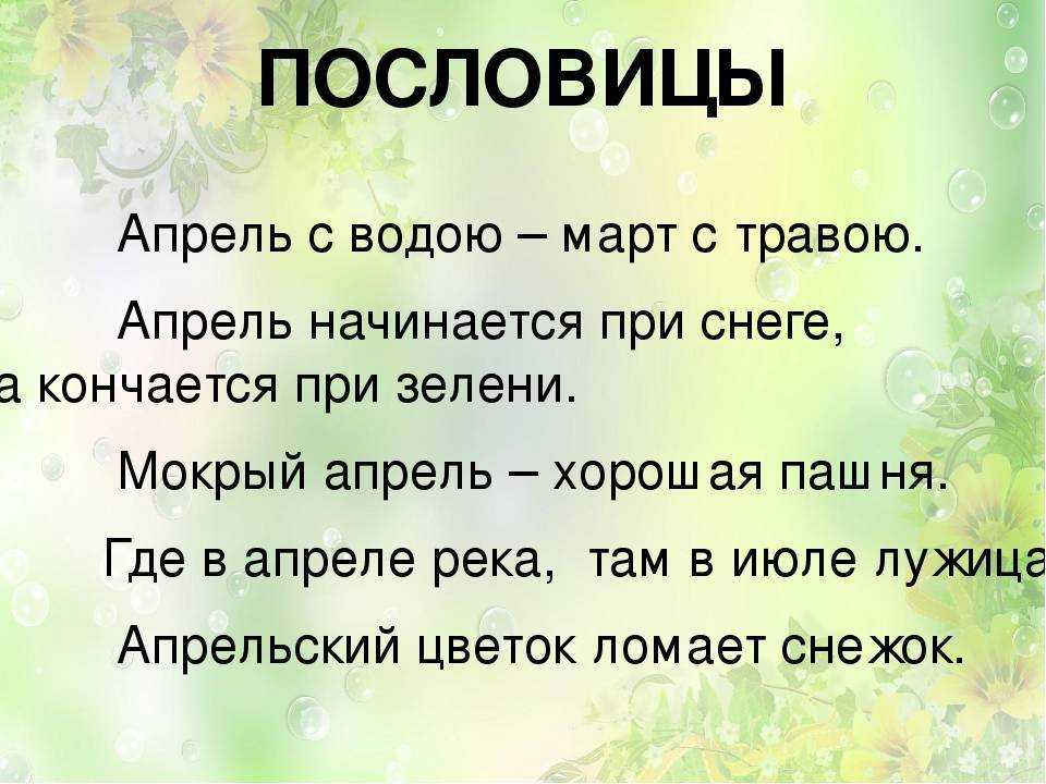 Пословицы про погоду: 50 поговорок со смыслом ✍