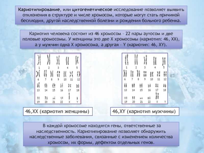 Число хромосом в кариотипе. Цитогенетический метод кариотипирование. Цитогенетическое исследование кариотип супругов. Кариотипирование и цитогенетический методы исследования. Цитогенетические исследования кариотипирование.