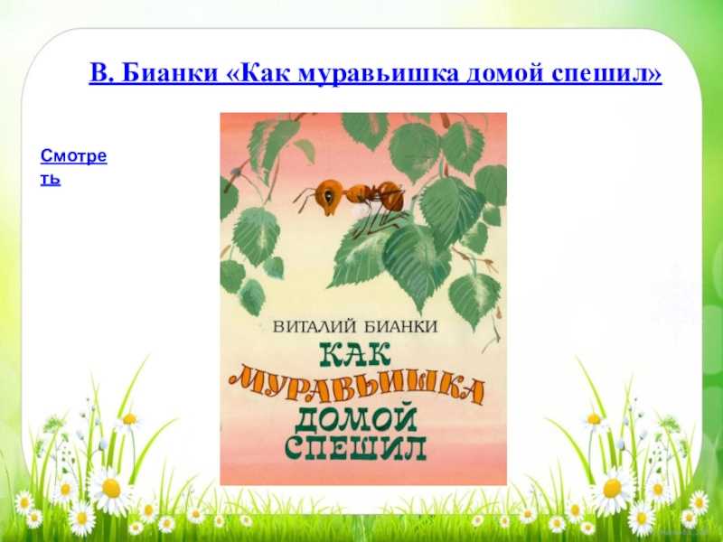 Как муравьишка домой спешил бианки читать полностью с картинками бесплатно