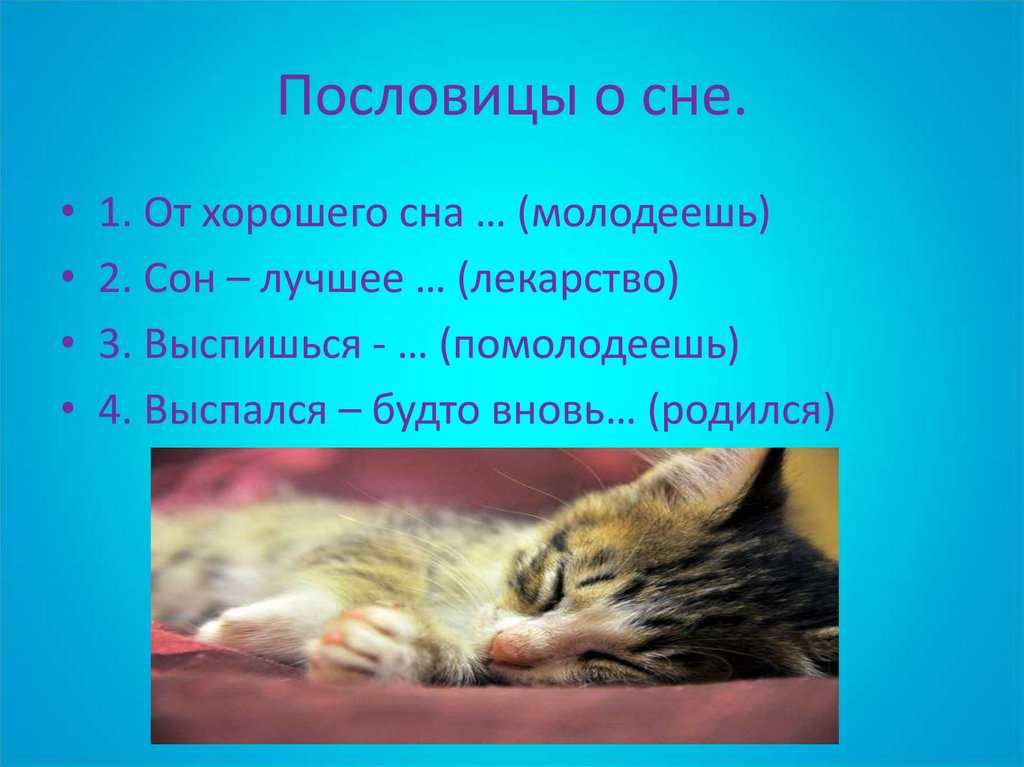 Загадки спать. Пословицы о здоровом сне. Пословицы про сон. Поговорки про сон. Пословицы про сон и здоровье.