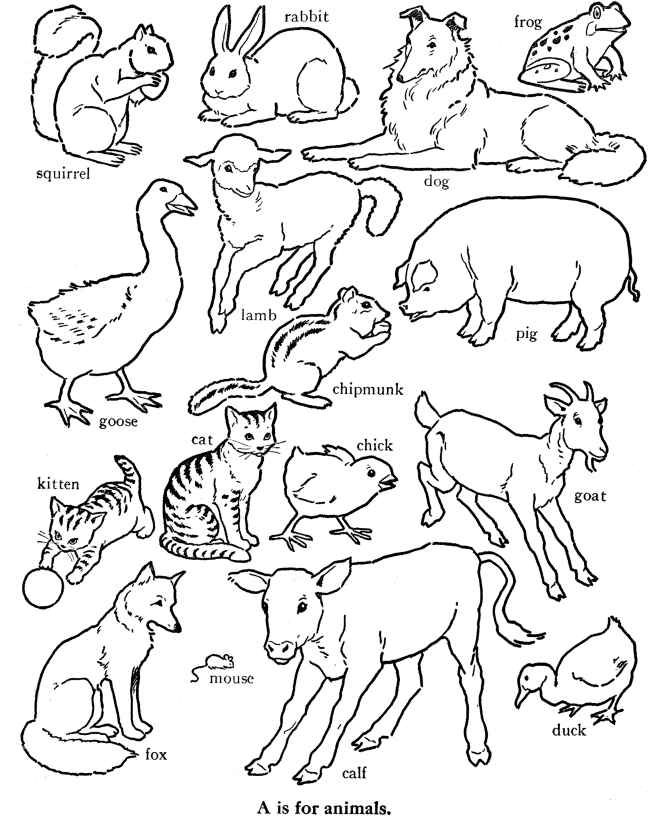 Рисунки животных для срисовки: 120 картинок для рисования