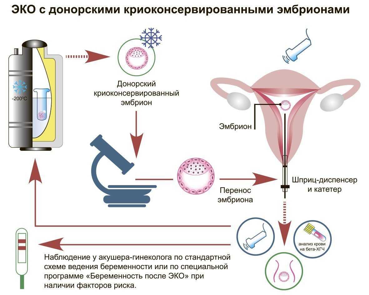 как увеличить сперму и их подвижность фото 69