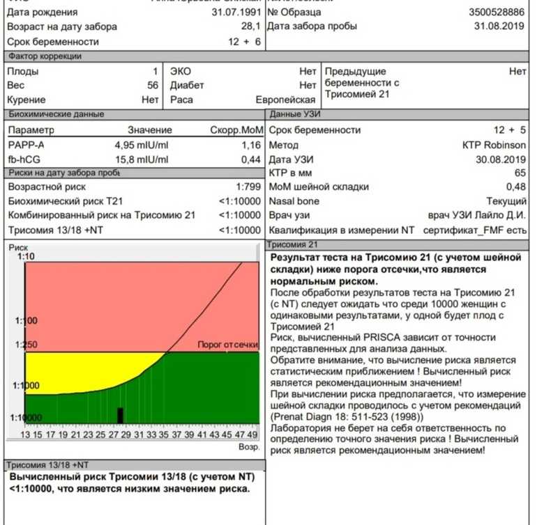 Первый скрининг при беременности - анализ результатов